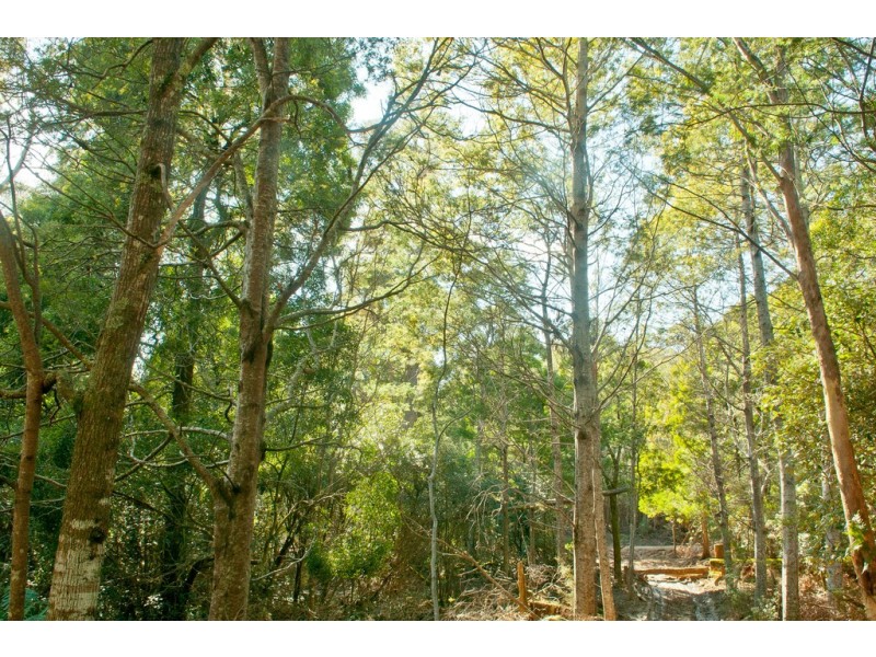 0 Crowdens Road, Western Creek TAS 7304