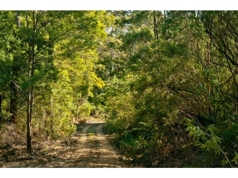 0 Crowdens Road, Western Creek TAS 7304