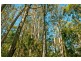 0 Crowdens Road, Western Creek TAS 7304