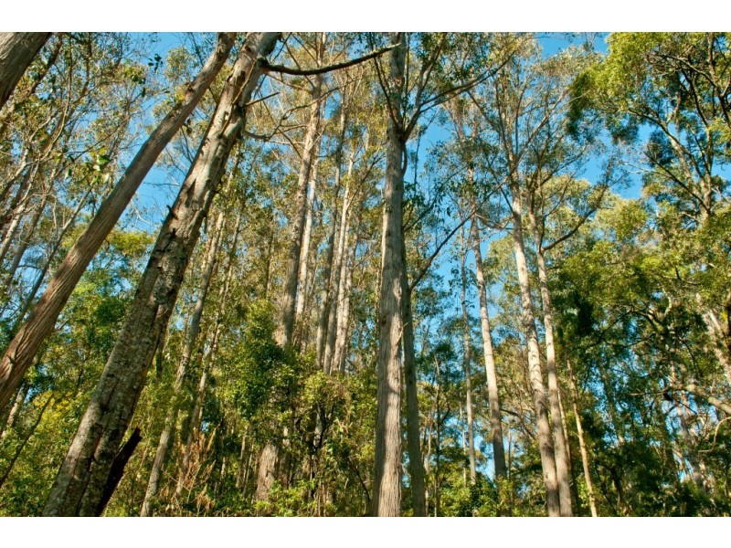0 Crowdens Road, Western Creek TAS 7304