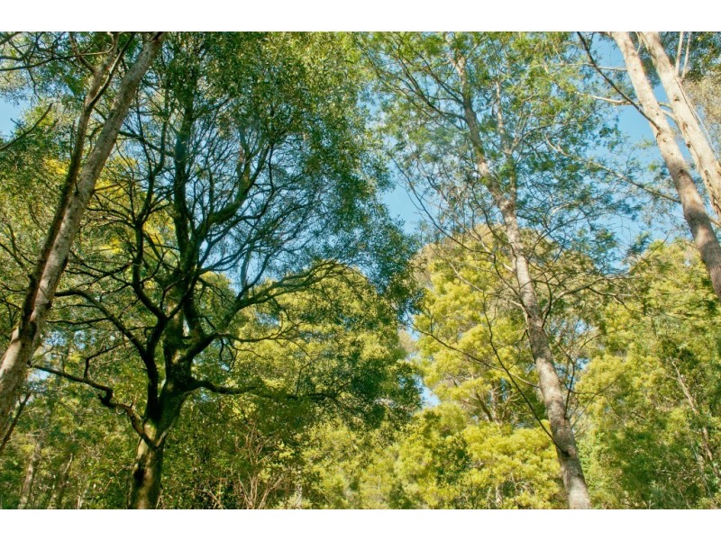 0 Crowdens Road, Western Creek TAS 7304