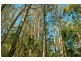 0 Crowdens Road, Western Creek TAS 7304