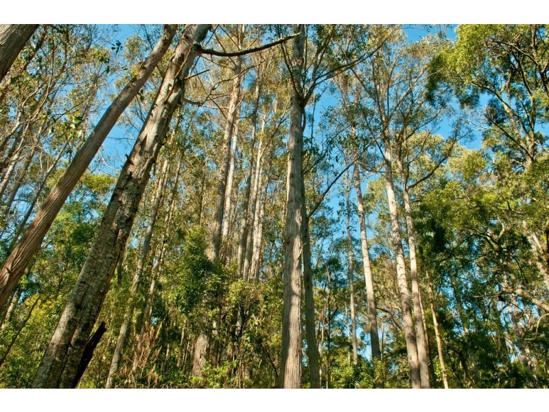 0 Crowdens Road, Western Creek TAS 7304