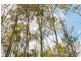 0 Bradys Plain Road, Parkham TAS 7304