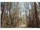 0 Bradys Plain Road, Parkham TAS 7304