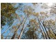 0 Bradys Plain Road, Parkham TAS 7304