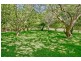 5091 Bass Highway, Deloraine TAS 7304