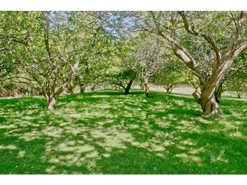 5091 Bass Highway, Deloraine TAS 7304