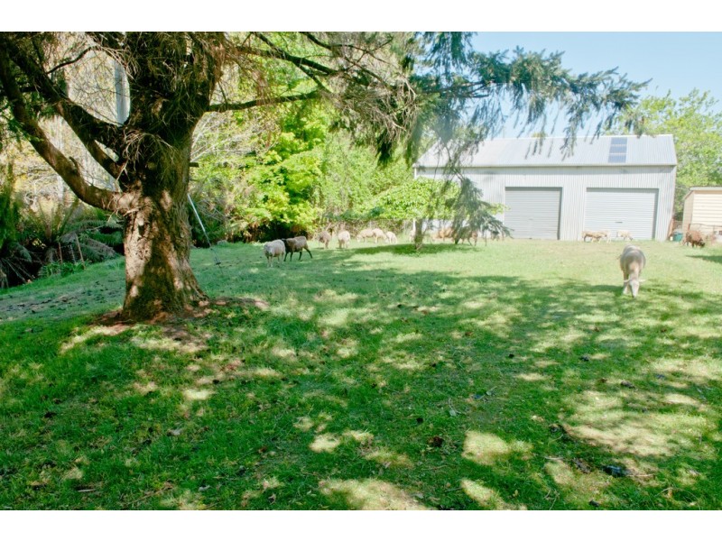 5091 Bass Highway, Deloraine TAS 7304