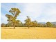 0 Sykes Road, Mole Creek TAS 7304