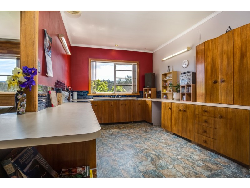 18 McNeill Street, Mole Creek TAS 7304