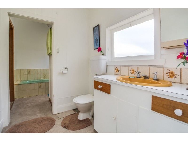 18 McNeill Street, Mole Creek TAS 7304