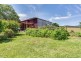 18 McNeill Street, Mole Creek TAS 7304