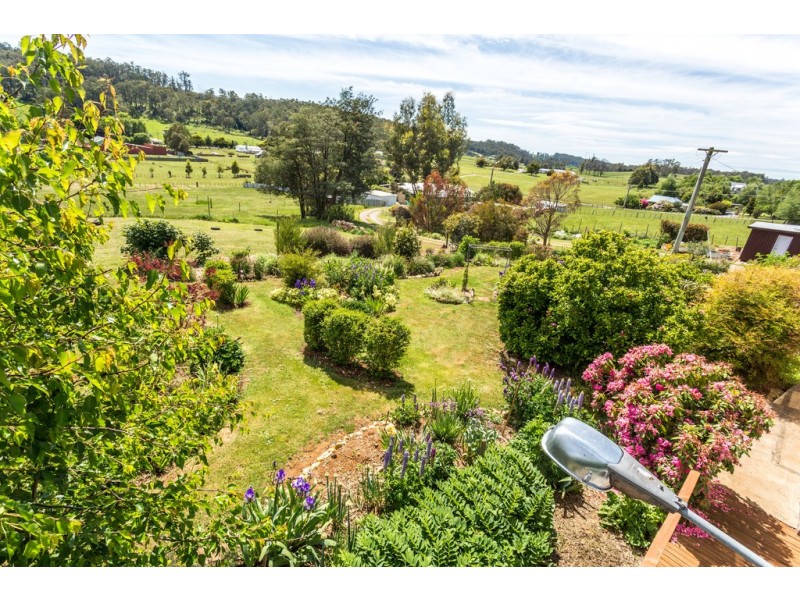 18 McNeill Street, Mole Creek TAS 7304