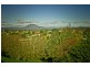 63 West Barrack Street, Deloraine TAS 7304