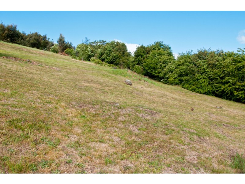 63 West Barrack Street, Deloraine TAS 7304