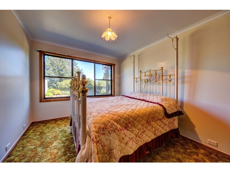 28 McNeill Street, Mole Creek TAS 7304