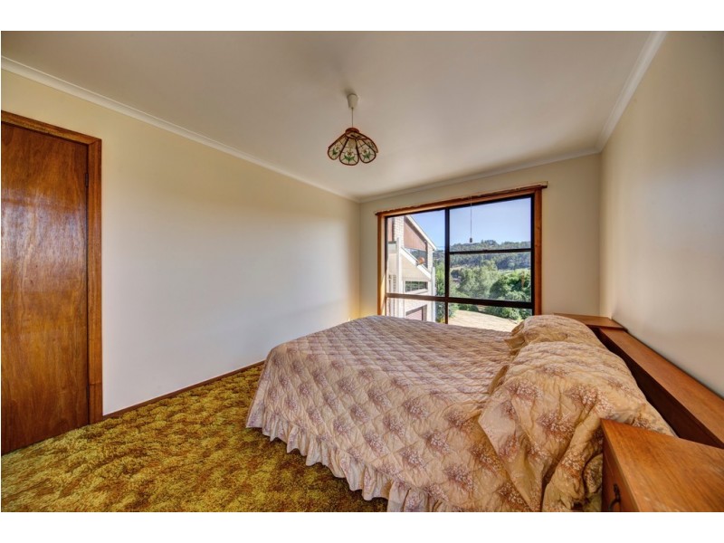 28 McNeill Street, Mole Creek TAS 7304