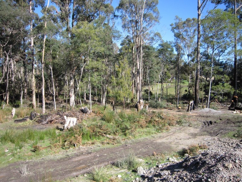 122 Old Deloraine Road, Latrobe TAS 7307