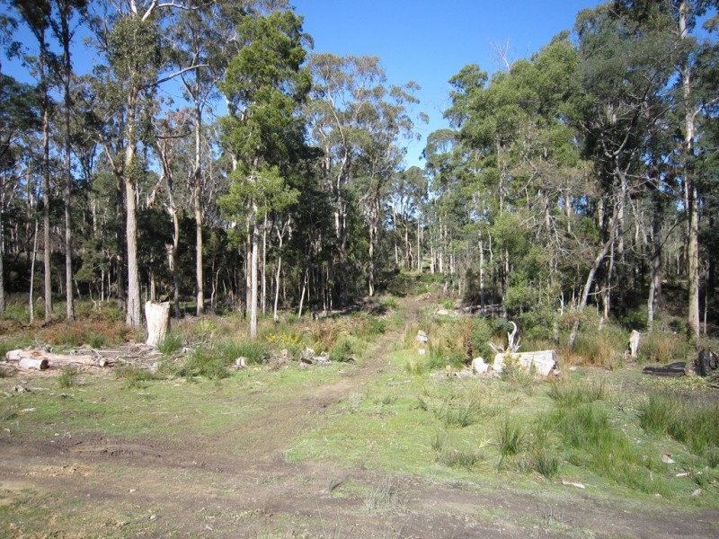 122 Old Deloraine Road, Latrobe TAS 7307