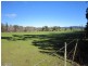 122 Old Deloraine Road, Latrobe TAS 7307