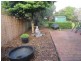 49 David Street, East Devonport TAS 7310