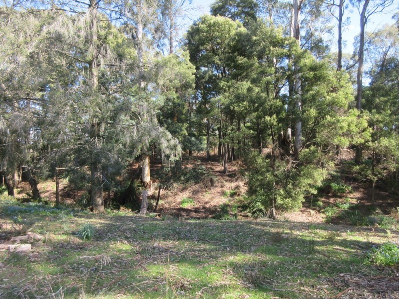 369 Mersey Main Road, Spreyton TAS 7310