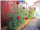 23 Stephen Street, East Devonport TAS 7310