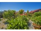 26 George Street, Latrobe TAS 7307