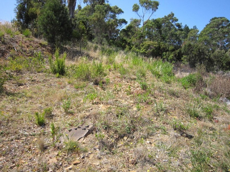 3 Tomarah Crescent, Devonport TAS 7310