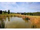 93 Camborne Drive, Acacia Hills TAS 7306