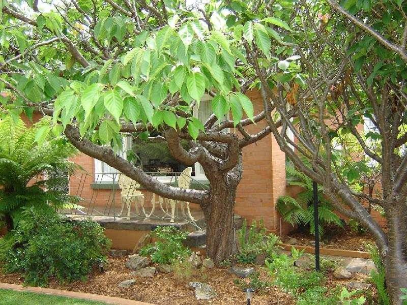 14 Birkdale Court, Devonport TAS 7310