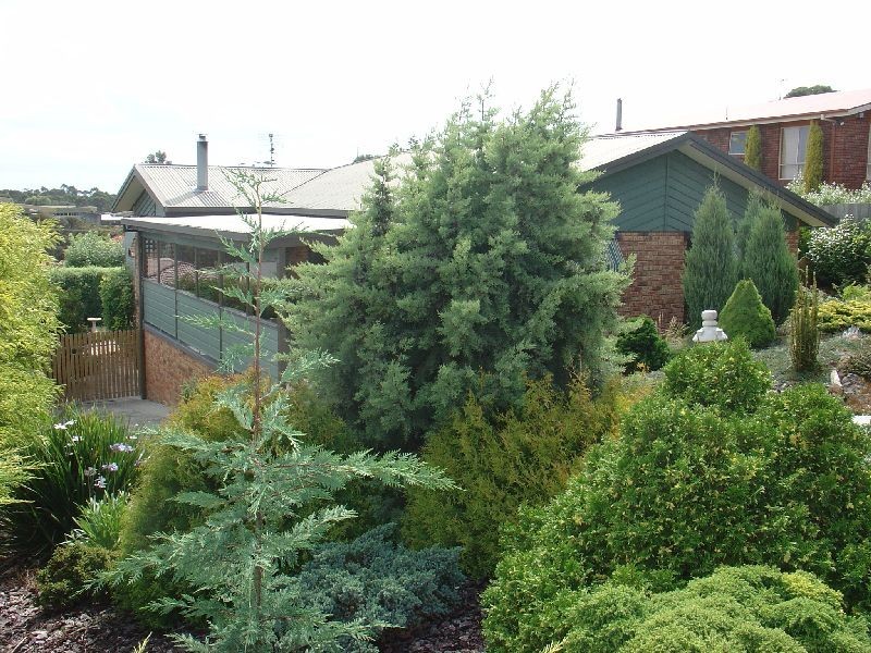 3 Pengali Place, Devonport TAS 7310