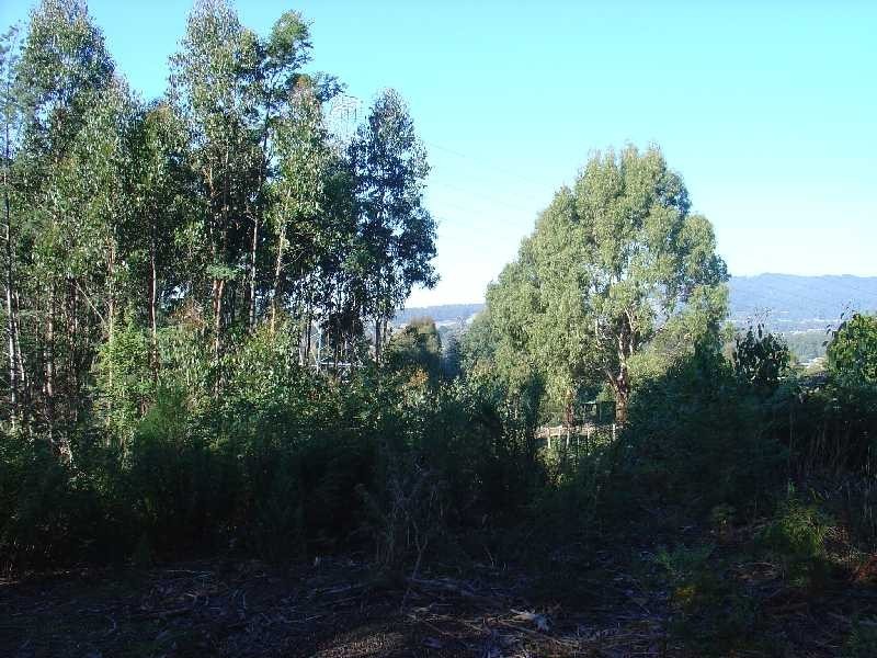 3 Hillwood Rise, Spreyton TAS 7310