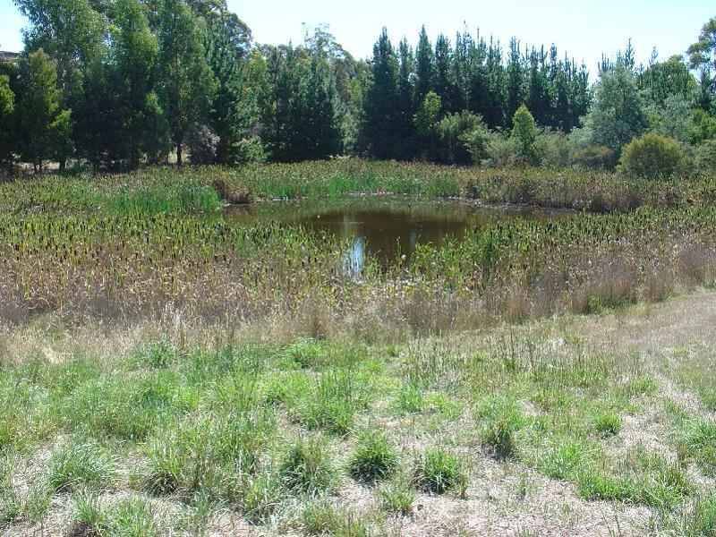 25 Barnes Road, Spreyton TAS 7310