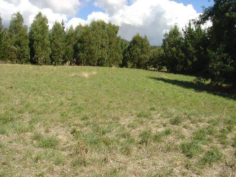 25 Barnes Road, Spreyton TAS 7310