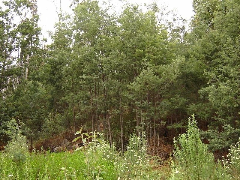 29 Eagle Ridge Road, South Spreyton TAS 7310