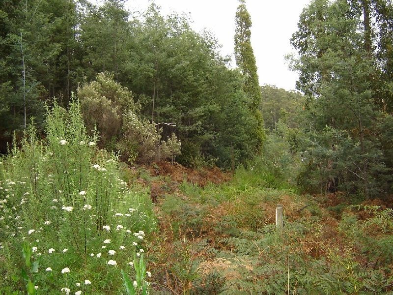 29 Eagle Ridge Road, South Spreyton TAS 7310