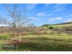 17 Lower Barrington Road, Paloona TAS 7310