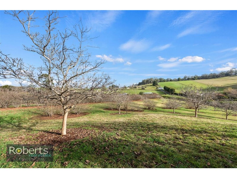 17 Lower Barrington Road, Paloona TAS 7310