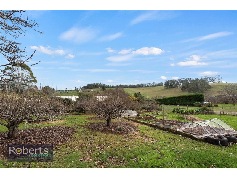 17 Lower Barrington Road, Paloona TAS 7310