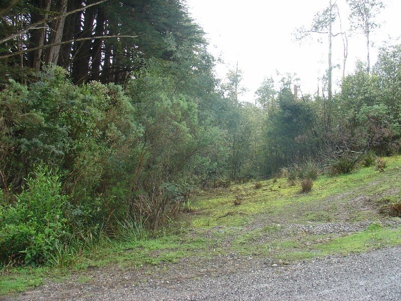 Lot 5 James Road, Acacia Hills TAS 7306