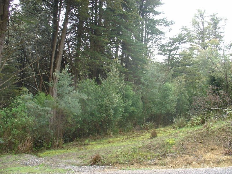 Lot 5 James Road, Acacia Hills TAS 7306