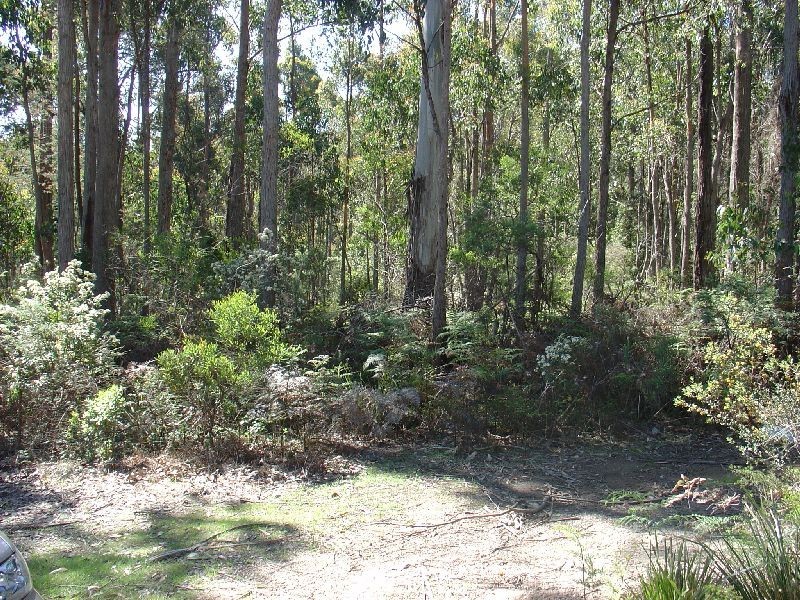 260 Kelcey Tier Road, Spreyton TAS 7310