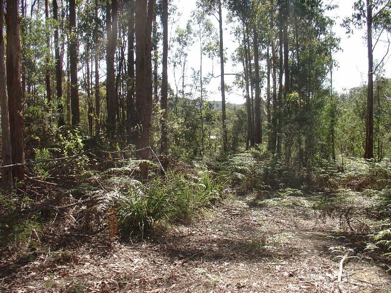 260 Kelcey Tier Road, Spreyton TAS 7310