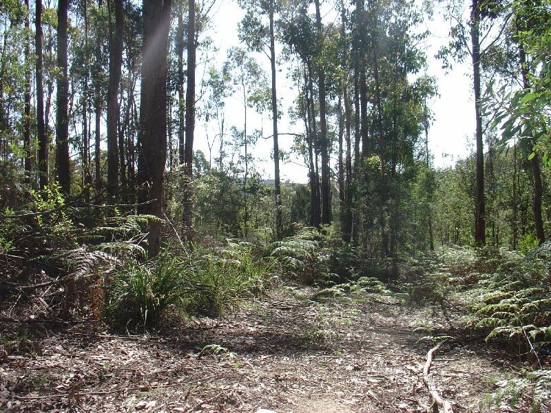 260 Kelcey Tier Road, Spreyton TAS 7310