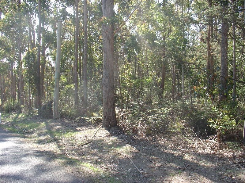 260 Kelcey Tier Road, Spreyton TAS 7310