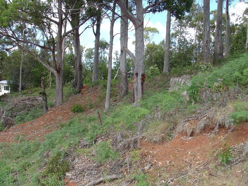 11 Ellice Hill Drive, Spreyton TAS 7310