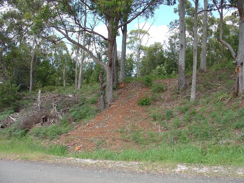11 Ellice Hill Drive, Spreyton TAS 7310