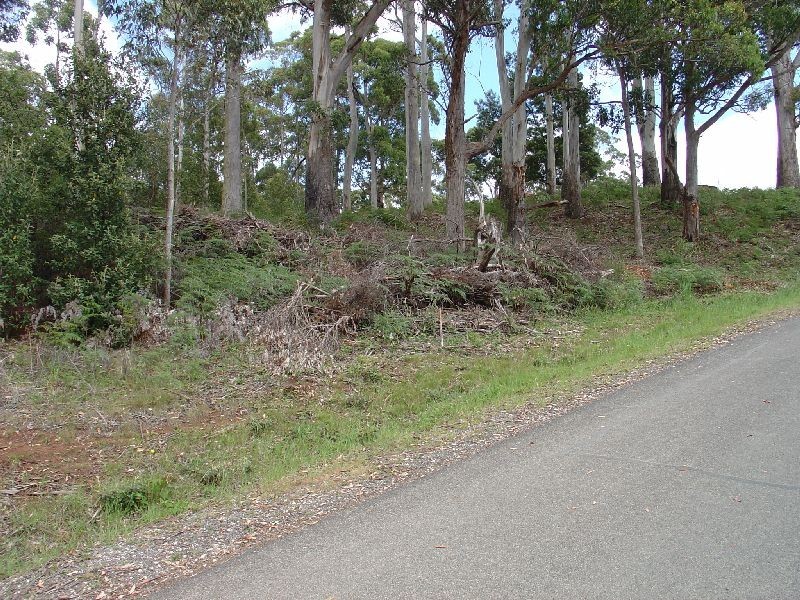 11 Ellice Hill Drive, Spreyton TAS 7310